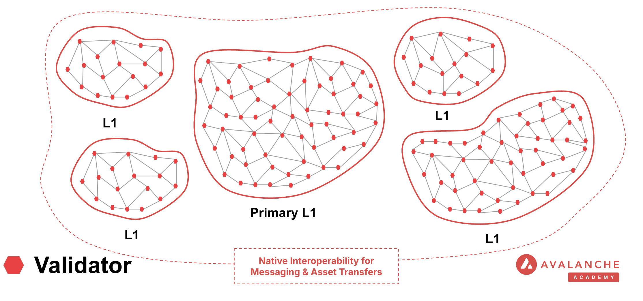 Primary Network Architecture